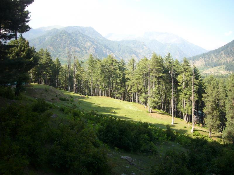Travel - India - Kashmir - Pahalgam - Around Bentes Lodge
